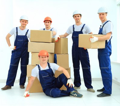 Reviewing removal service complaint details and supporting information
